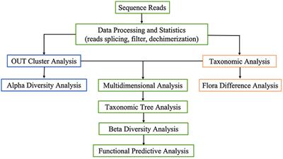 Student-Driven Course-Based Undergraduate Research Experience (CUREs) Projects in Identifying Vaginal Microorganism Species Communities to Promote Scientific Literacy Skills